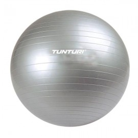 Мяч для аэробики Tunturi TUSFU024